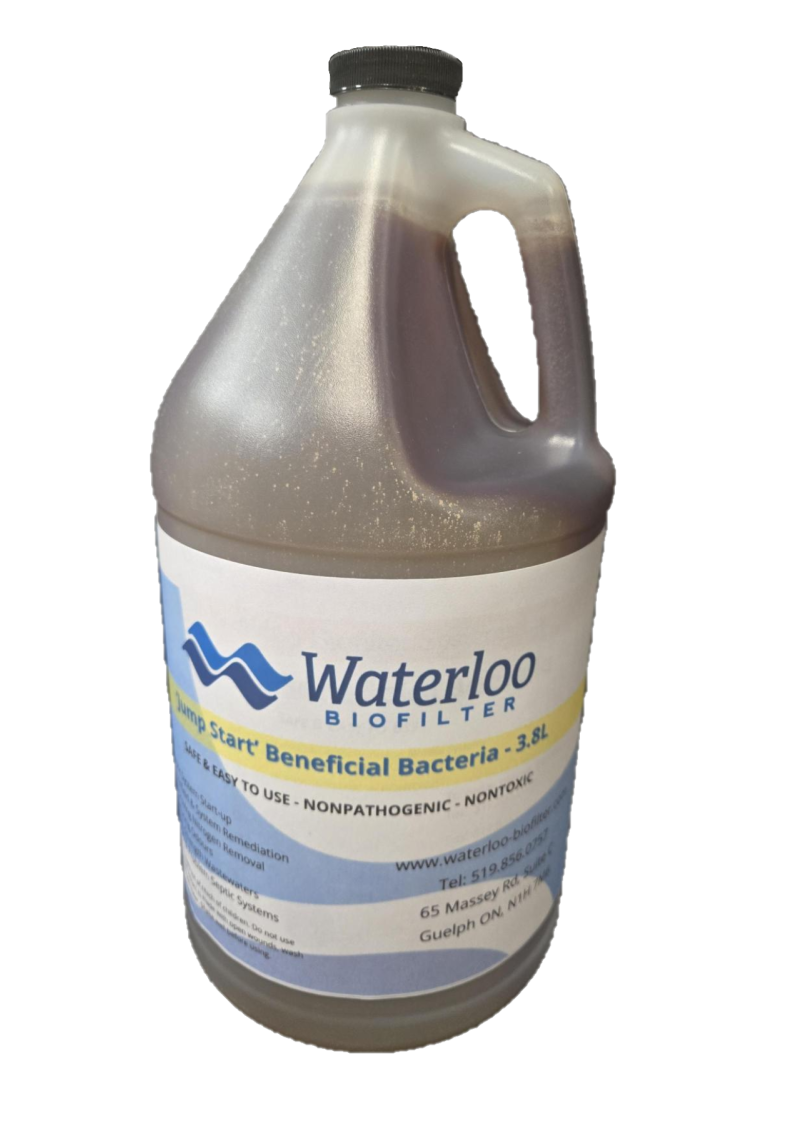 Septic Jump Start - Beneficial Bacteria (1 Gallon)